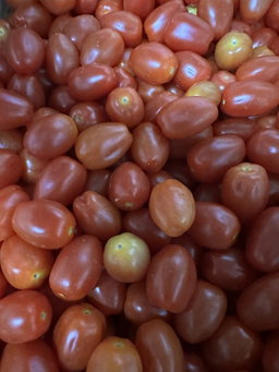 CHERRY TOMATOES (500gm)