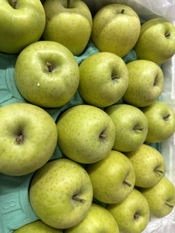 APPLE ORIN GOLDEN (JAPAN)