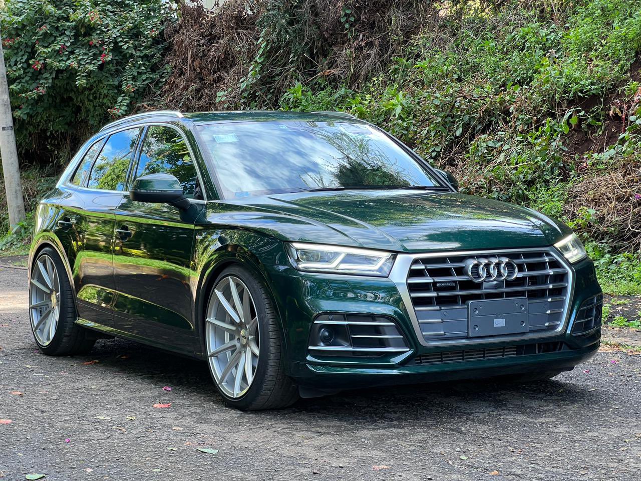 Audi Q5_0