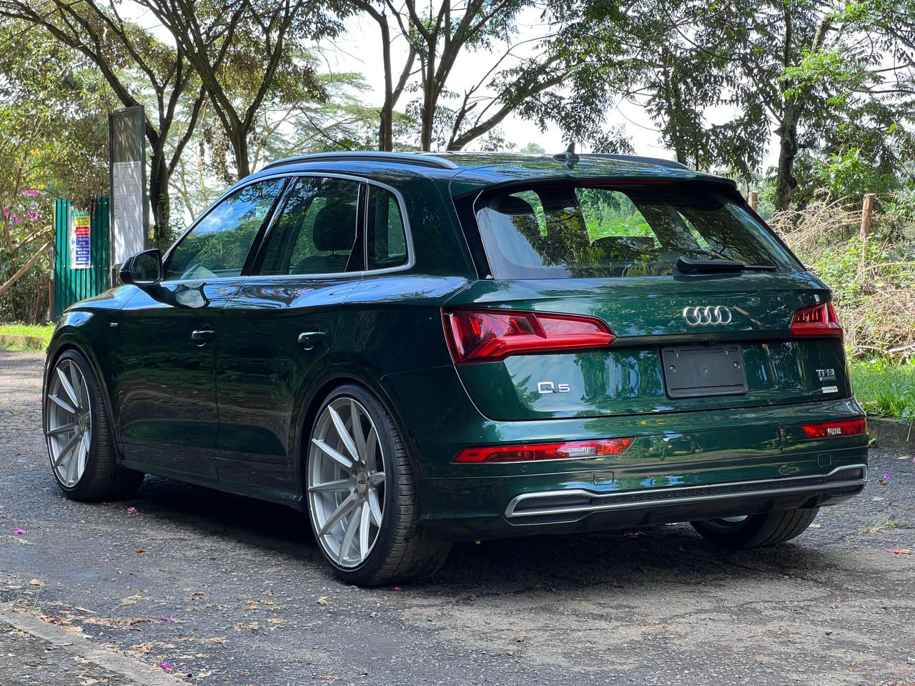 Audi Q5_1