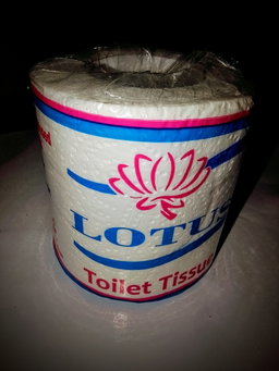 PAPER PRODUCTS (WHOLESALE)