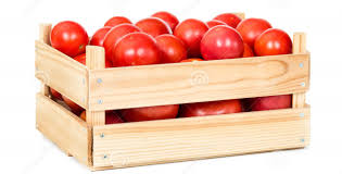 tomate 1 kg