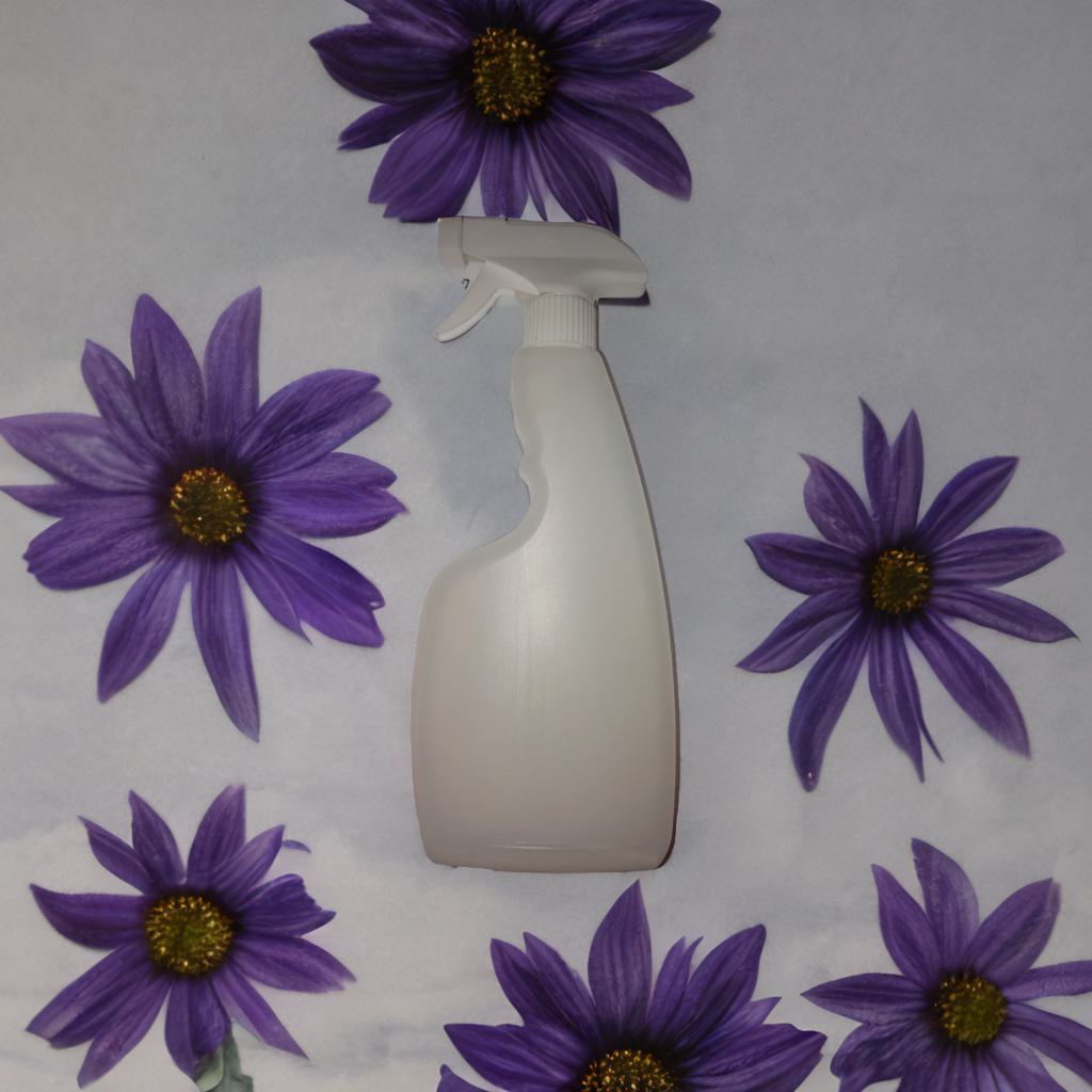 Spray bottle