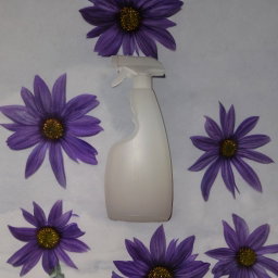 Spray bottle