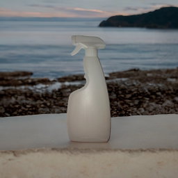 Spray bottle