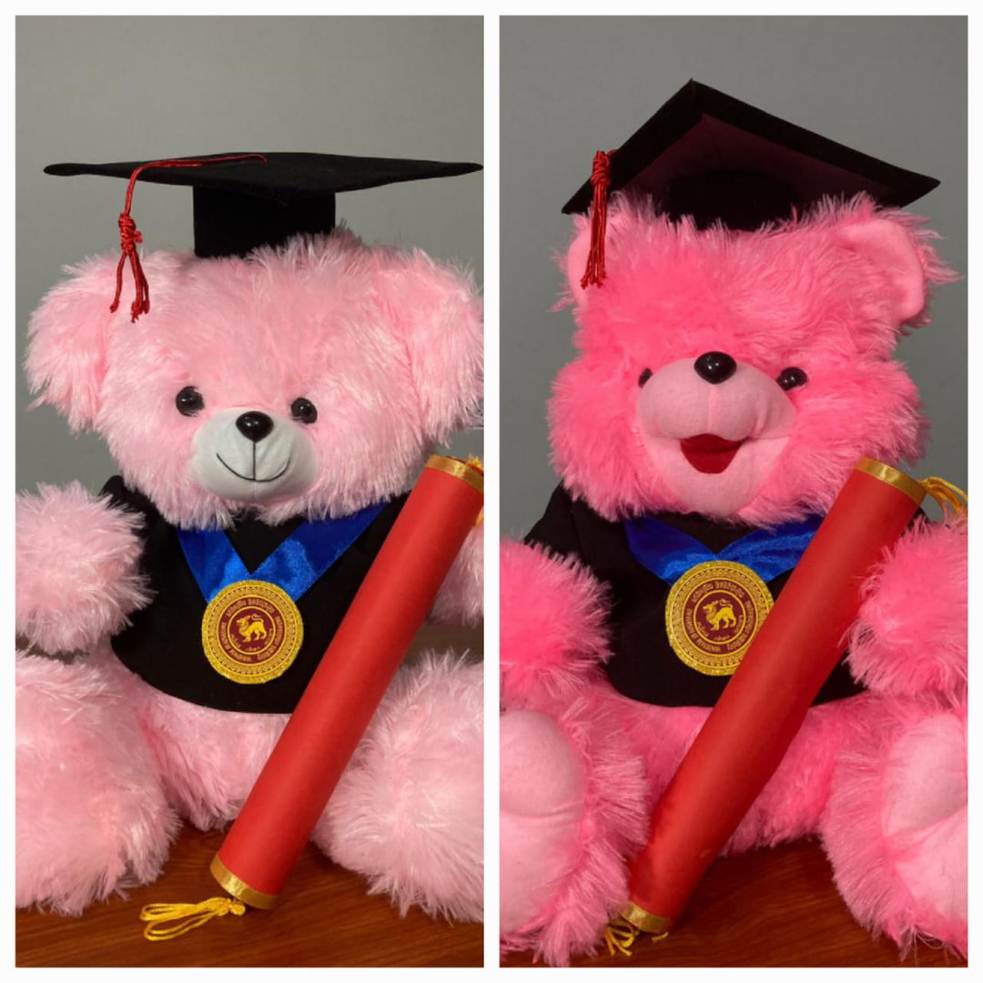Shiny Graduation Bear
