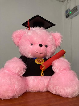 Dreamy Graduation Bear