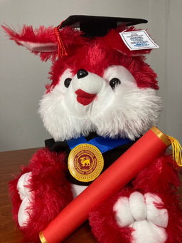 Graduation bunny