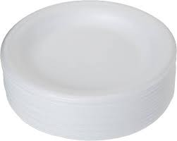 Sun Pack 10 Inch Disposable Foam Plates
