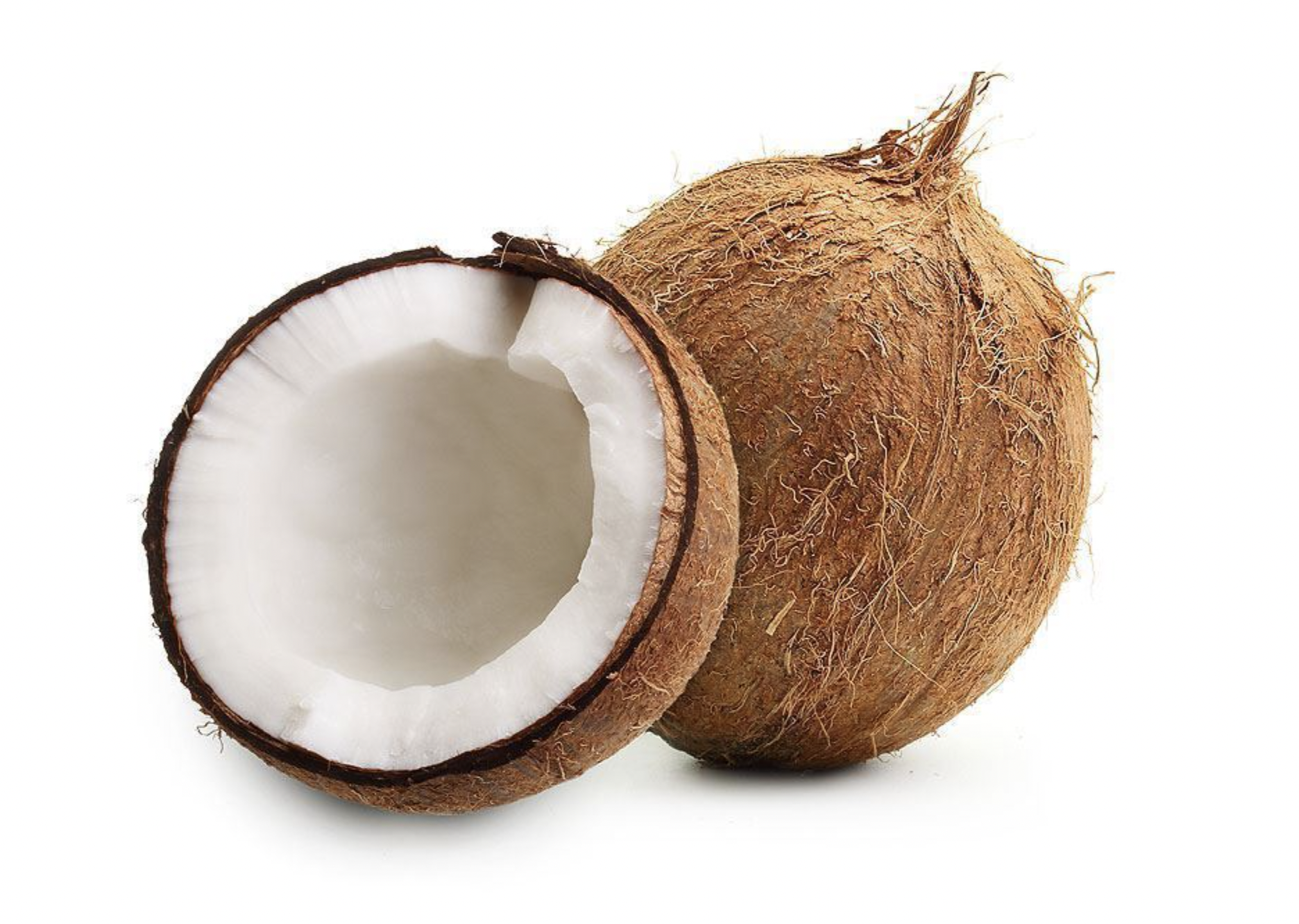 Dry Coconut Whole_0