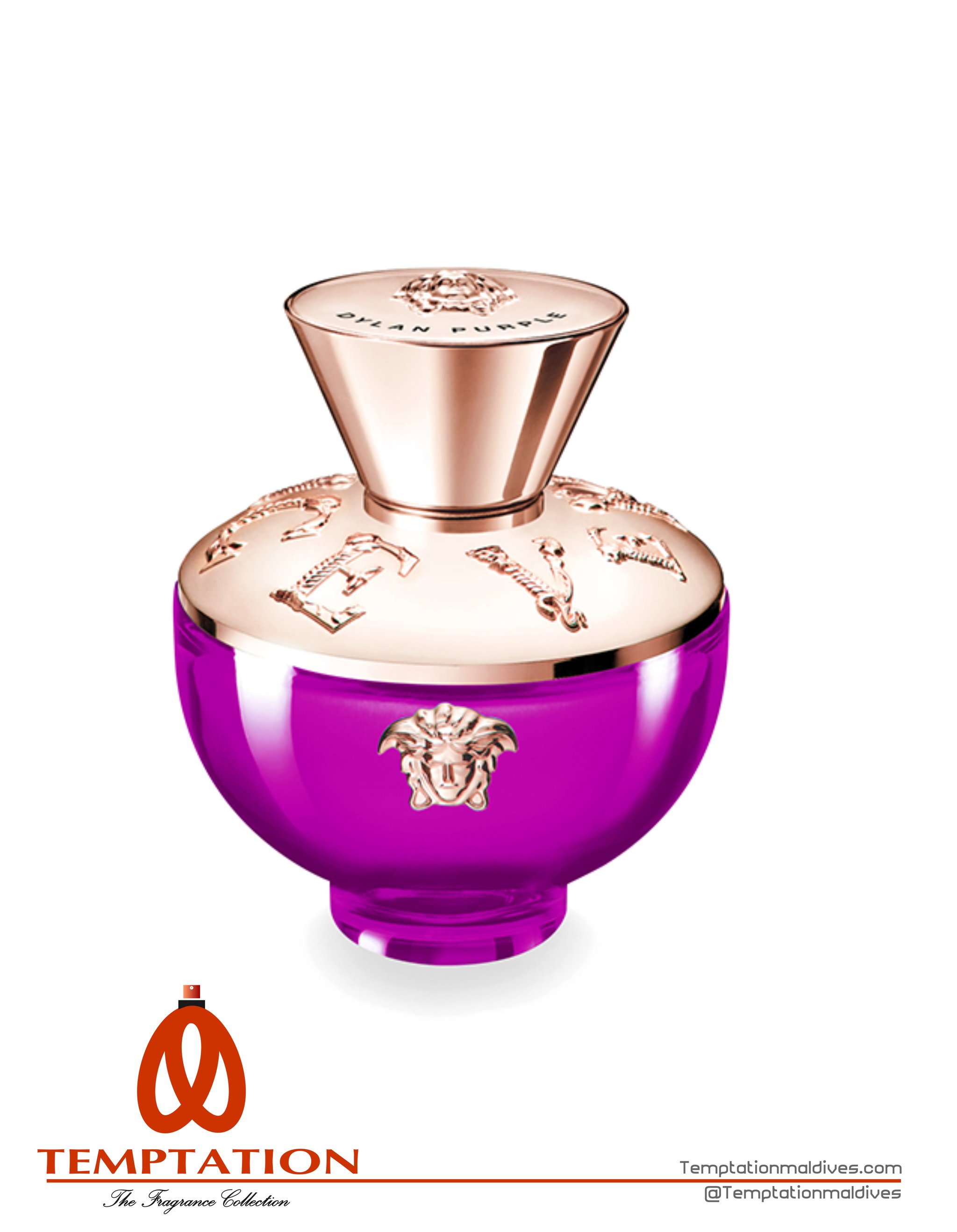 Versace Dylan Purple _0
