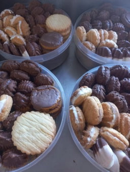 MEGA BISCUITS TUB