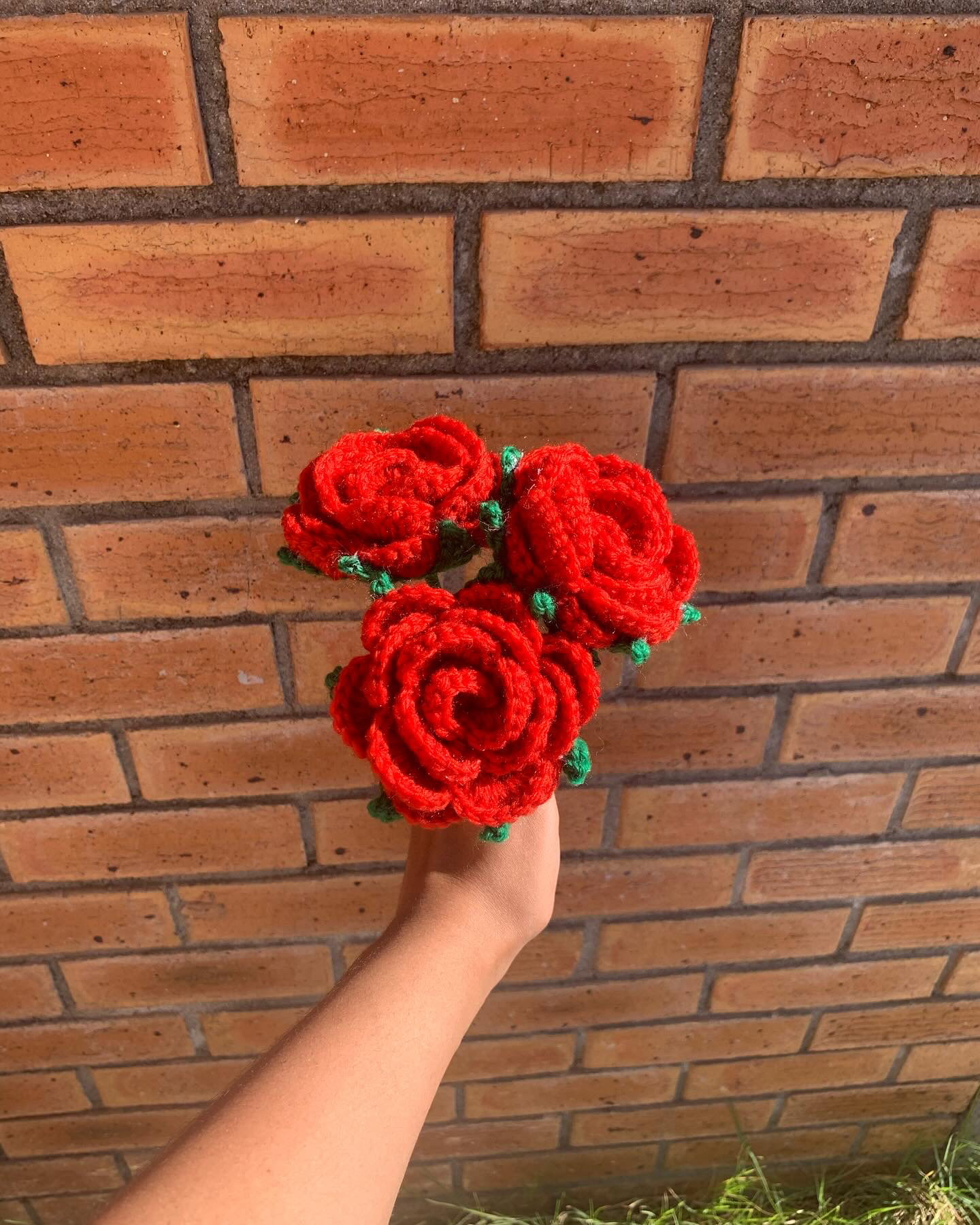 Roses_1