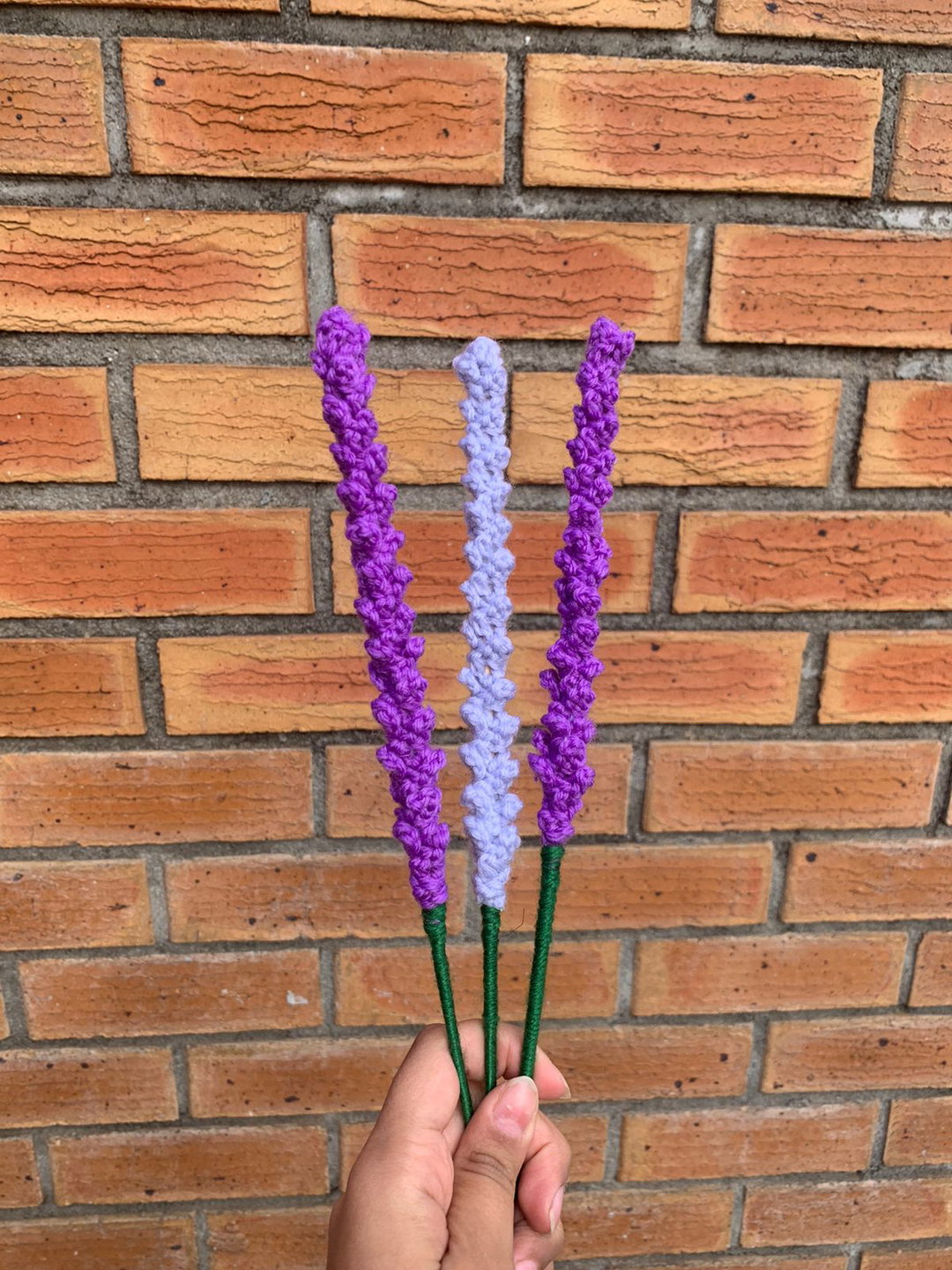 Lavender