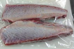 FROZEN TUNA
