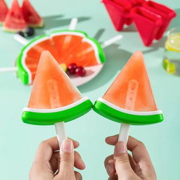 Fruit popsicle Moulder