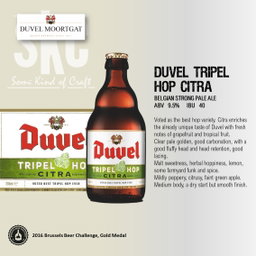 IPA