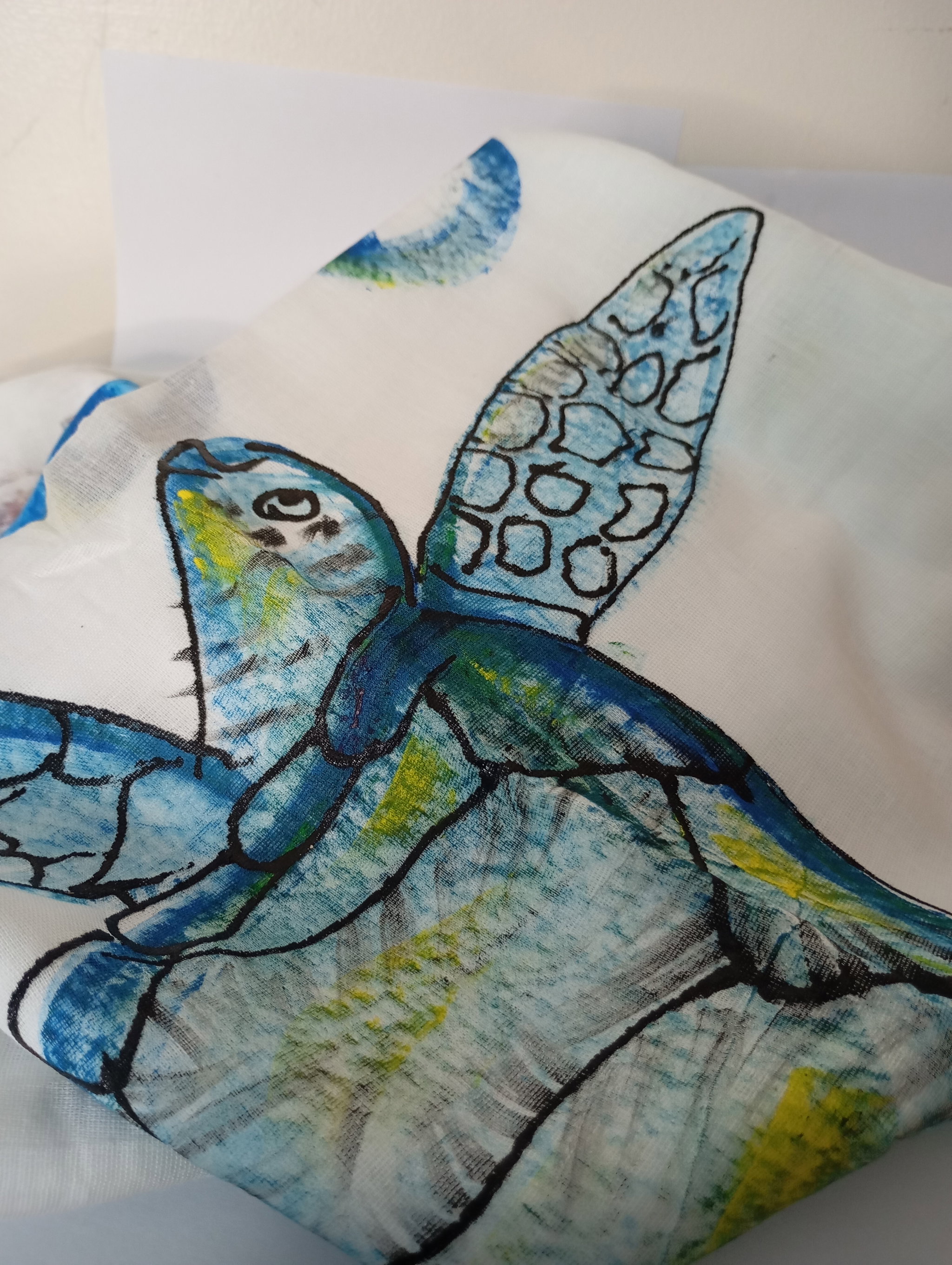 Painted turtle _0