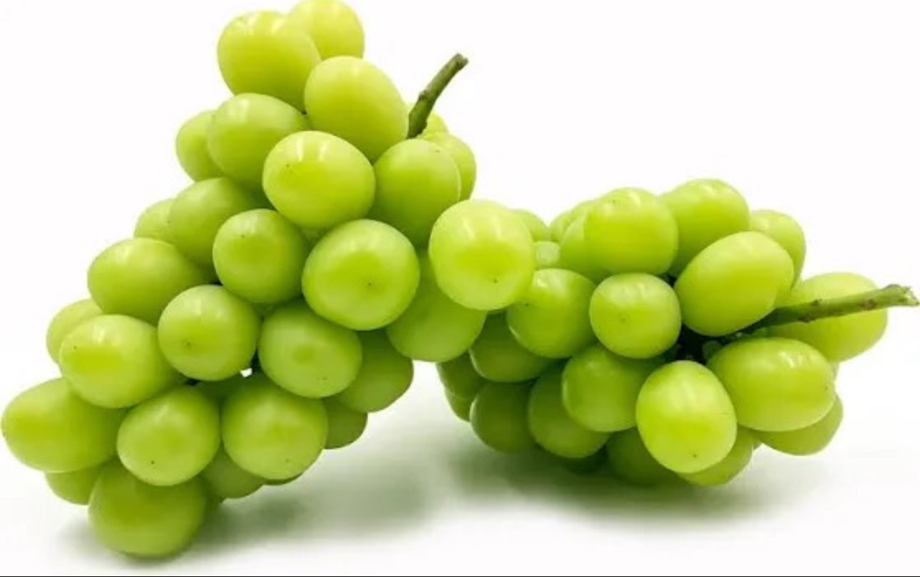GREEN GRAPE MUSCAT(CHINA)(500gm)_0