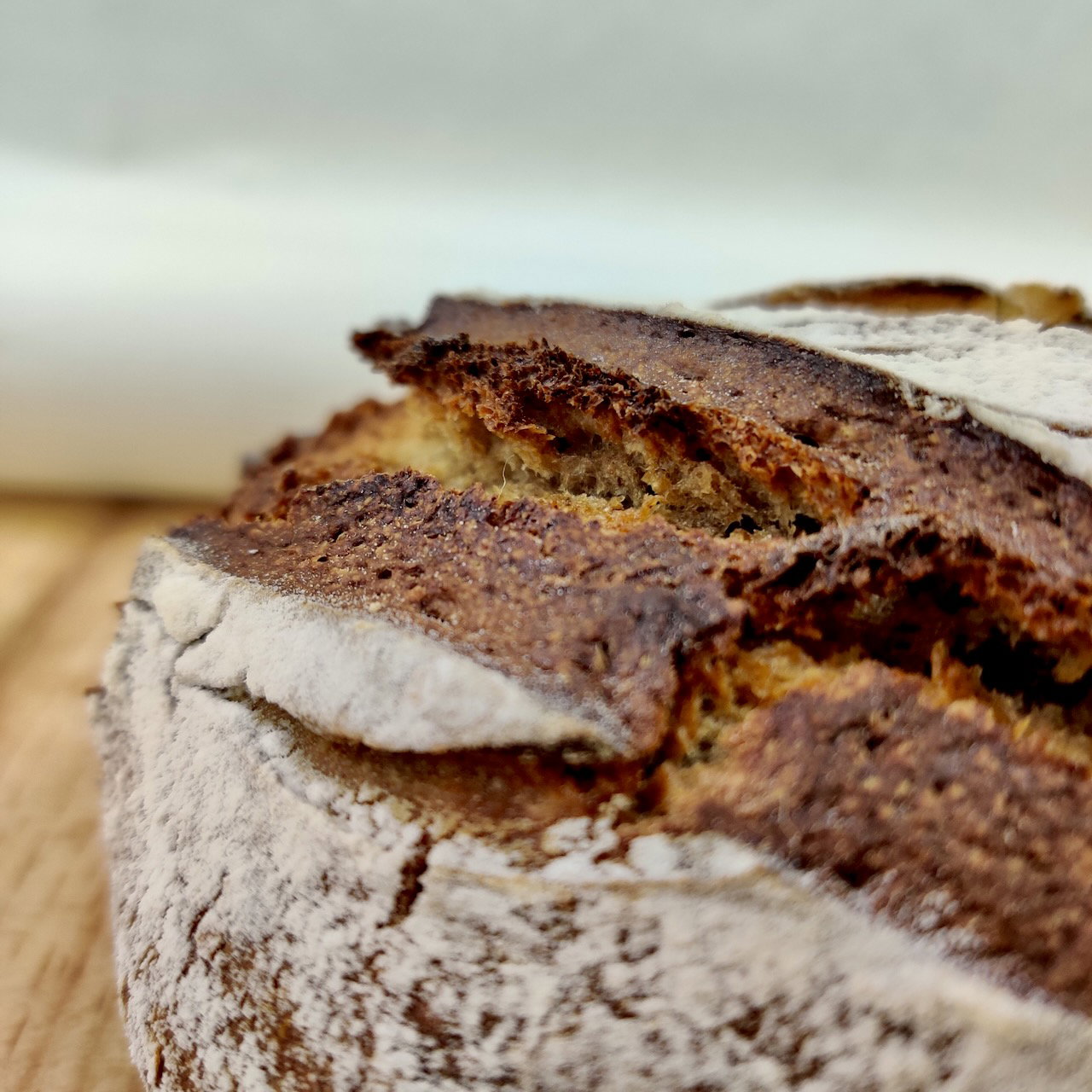 Sourdough 60% Rye_1