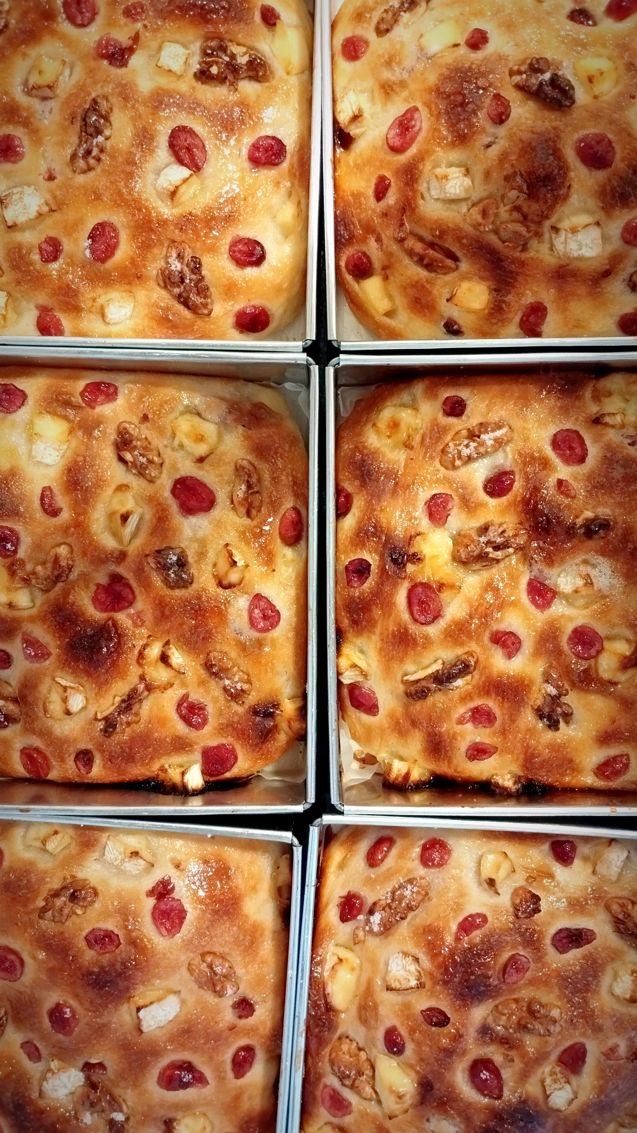 Brie Cranberry & Walnut Focaccia _1