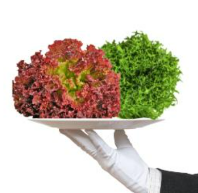 Meod Salad Bundle A (Lollo Rossa & Green Crisp) 200g -ζ²ζηθ