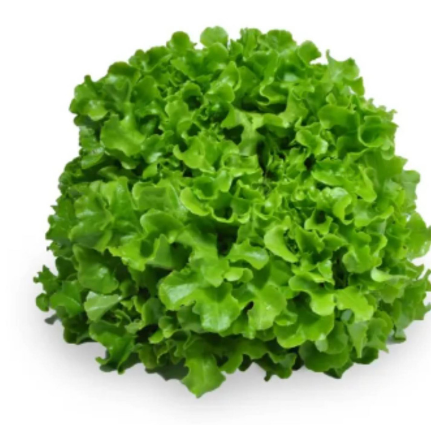 Meod Green Oak (150g)-ζ²ζηθ