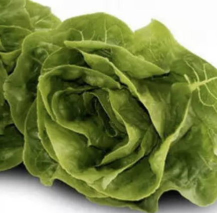Meod Cos Lettuce (150g)-ζ²ζηθ