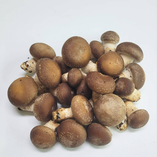 Meod Baby Shiitake (150g)-Baby香菇_0