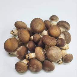 Mushrooms (Pesticide Free by Meod Farm) π