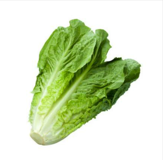 Organic Baby Cos Lettuce - 油麦胆 ( 250 g )_0