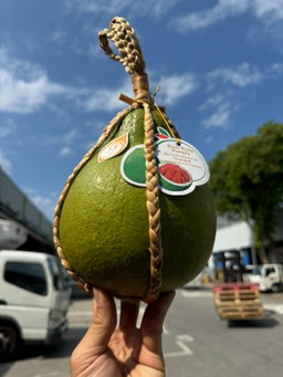 Siam Ruby Pomelo 