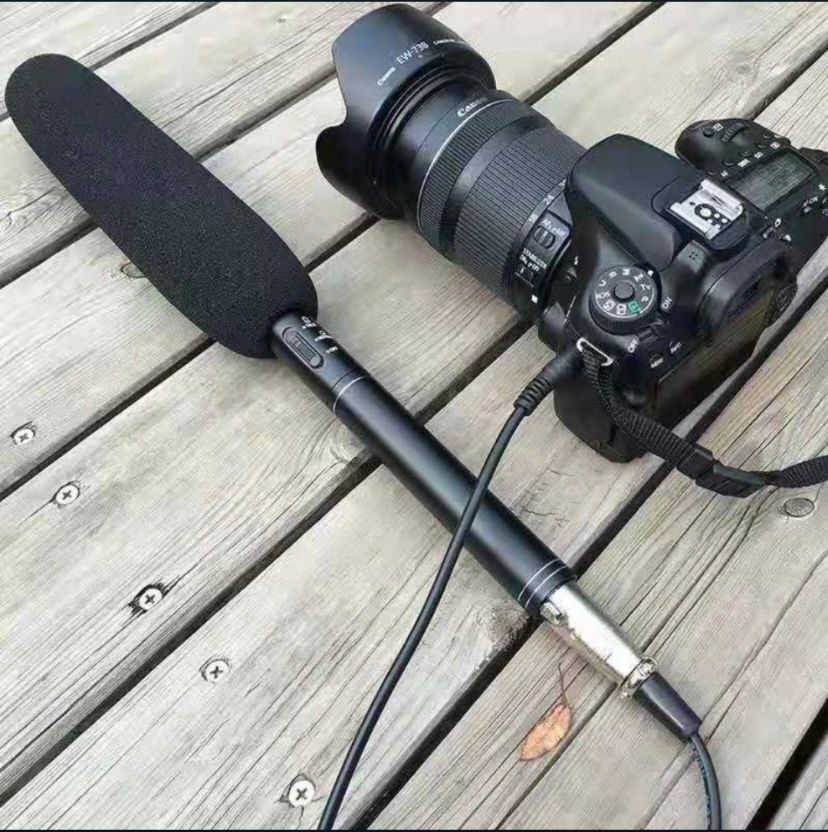 Panasonic Interview Microphone_0