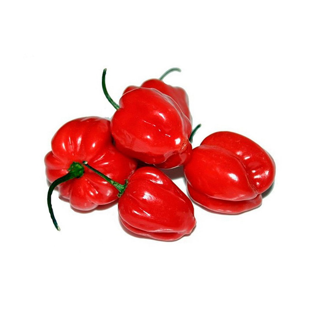 aji rocoto 250 grs