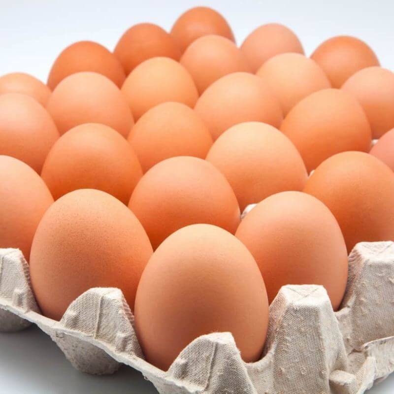 bandeja de huevos gallina libre 20 un_0