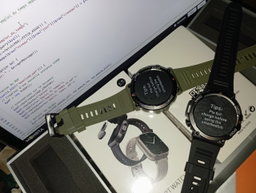 Smart watch