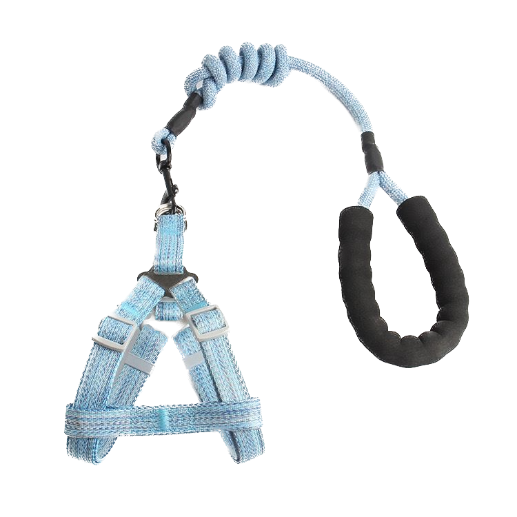 Harness + Leash Set