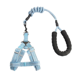 Harness + Leash Set