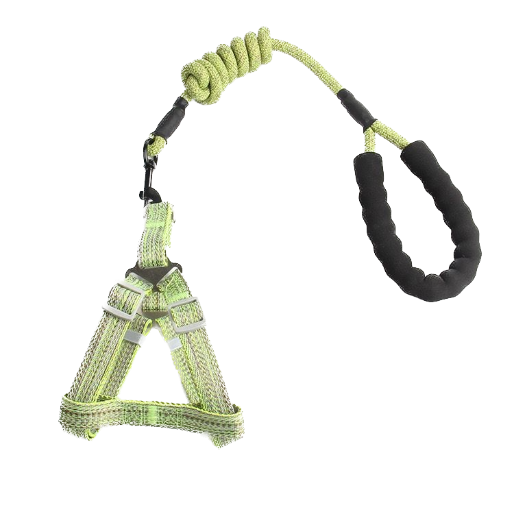 Harness + Leash Set_1