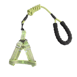 Harness + Leash Set