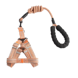 Harness + Leash Set
