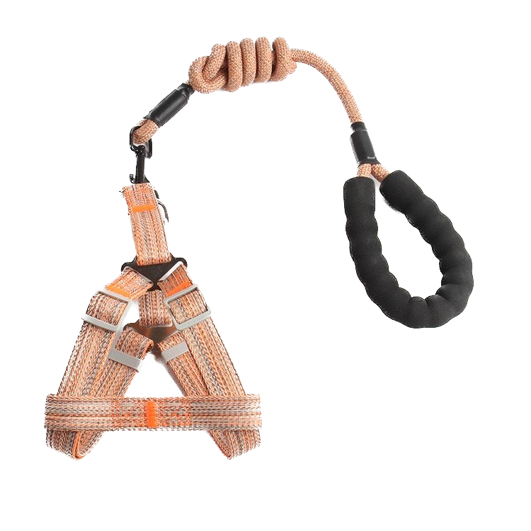 Harness + Leash Set_2