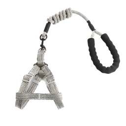 Harness + Leash Set