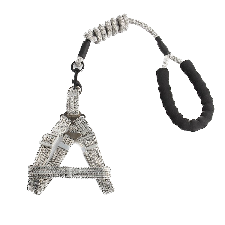 Harness + Leash Set_3