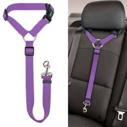 Car Seat Belt