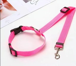 Car Seat Belt
