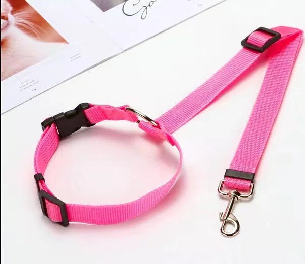 Car Seat Belt_1