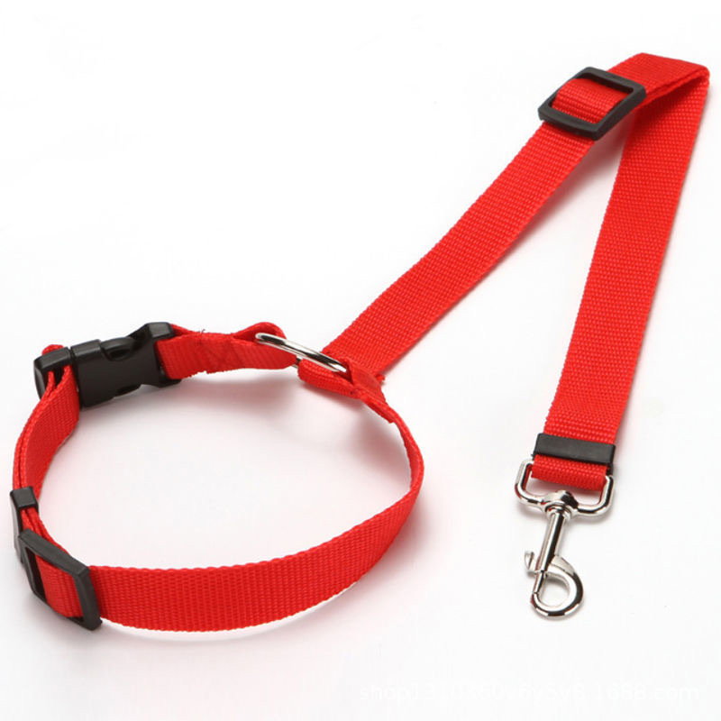 Car Seat Belt_2