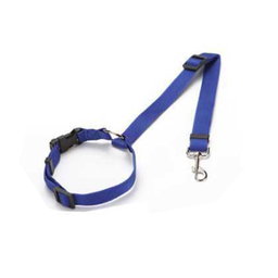 Car Seat Belt