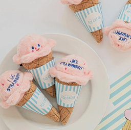 Ice Cream Toy